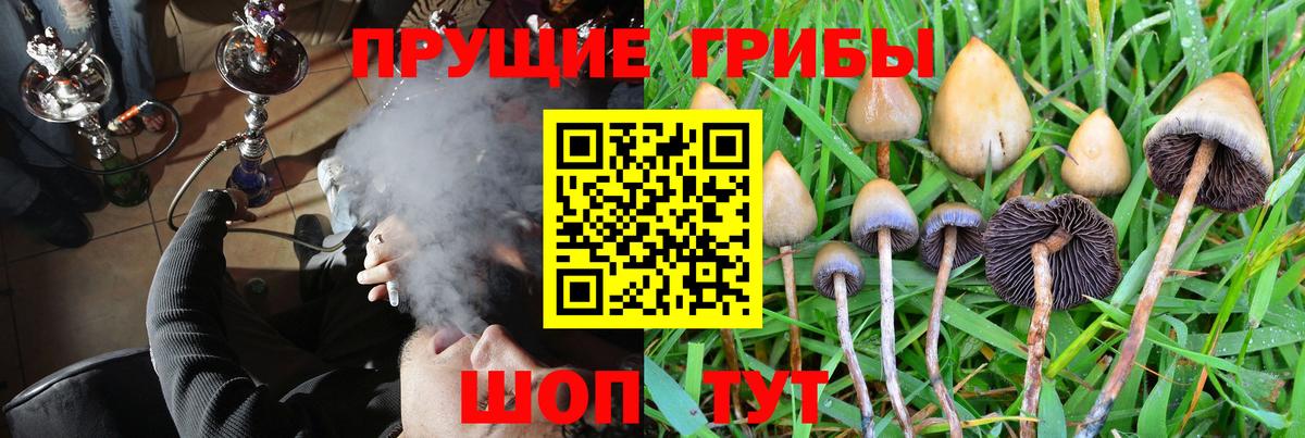 Галлюциногенные грибы MAGIC MUSHROOMS  Вход с VPN  Галлюциногенные грибы Psilocybe  Горно-Алтайск 